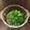 Device☆'s cooksnap of when they made 大根の間引き菜で…胡麻あえ.