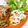 YUH♡ママ's cooksnap of when they made 【共働き】蓮根とベーコンのバター醤油炒め.