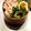 SAsunny's cooksnap of when they made 簡単！ピーマンキャベツの味噌炒め.
