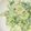 クックVOY1Q3☆'s cooksnap of when they made 水菜のワサビマヨあえ.