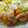 とろけい's cooksnap of when they made 中華料理店ような海老マヨ！.