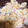 korisa１２０５'s cooksnap of when they made ちょっと和風な玉子サラダ.