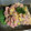 クックNPN3GI☆'s cooksnap of when they made 簡単おつまみとろたく.