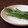 narimimama's cooksnap of when they made いんげんの一番美味しい食べ方☆塩いんげん.