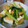 K/S's cooksnap of when they made 小松菜と厚揚げの煮びたし.
