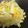 葉月優希's cooksnap of when they made りんごと白菜のさっぱりサラダ.