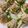 クックM96XDX☆'s cooksnap of when they made リッツクラッカーで簡単オードブル.