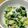 NW3EI4☆'s cooksnap of when they made 時短副菜☆☆小松菜と豆腐の和え物.