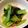 ばたみそーぱん☆'s cooksnap of when they made 小松菜とシーチキンで簡単♪【無限小松菜】.