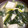 majyu1011's cooksnap of when they made ほうれん草とお豆腐のふわふわかき玉汁♪♪.