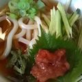 aizu_po's cooksnap of when they made 夏にぴったり冷やし稲庭うどん.
