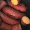 ☆まりもキッチン☆'s cooksnap of when they made 炊飯器で焼いも（ふかしいも？）.