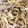mauzai's cooksnap of when they made 豚肉と白菜のオイスターソース炒め.