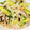 よしよしのキッチン☆'s cooksnap of when they made もやしときゅうりの塩昆布和え.