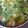 kazumi．H's cooksnap of when they made 野菜も沢山♡春雨スープ.