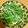 salymama's cooksnap of when they made 辛味大根と水菜の和風サラダ.