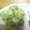 凪なぎ's cooksnap of when they made きゅうりとキャベツの酢の物.