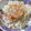伊達こまち's cooksnap of when they made 一発エビピラフ QC 簡単ピラフ えび.
