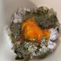KAORU4649's cooksnap of when they made 卵黄の醤油漬け.