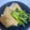 Anbxb★'s cooksnap of when they made 簡単☆小松菜と絹厚揚げの煮浸し.