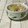 まくのうち's cooksnap of when they made 簡単 大根と手羽元の塩煮.