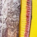 パーマネント夫婦's cooksnap of when they made 太刀魚のさばき方(煮付・ムニエル等に).