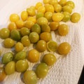すいすいキッチン's cooksnap of when they made 銀杏の下処理と保存方法.