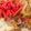クックSUC3AL☆'s cooksnap of when they made 【動画レシピ】店の味牛丼.