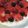 arinoawawa's cooksnap of when they made 簡単手抜きベリーチョコレートケーキ.