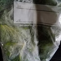 あんこだよ。's cooksnap of when they made 簡単便利♡セロリの葉は冷凍保存.