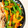˚✧₊⁎ゆう˚✧₊⁎'s cooksnap of when they made お弁当の彩りキープ！人参とピーマン炒め.