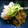 りょうりっこ☆'s cooksnap of when they made メカブにふわっと大根おろしをかけて！.
