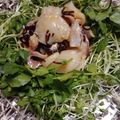 吉祥子's cooksnap of when they made 簡単！美味！鯛とホタテのセビーチェ.
