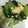 ちゃぎー's cooksnap of when they made 青梗菜と卵の炒め物.