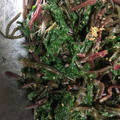 ちゃぎー's cooksnap of when they made 簡単！もう一品に！ほうれん草のお浸し.