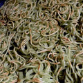MULA's cooksnap of when they made 絡まない 瓦そばの焼き方.
