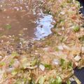 ★maimaiまま★'s cooksnap of when they made 簡単★餅入りめんたいもんじゃ焼き.