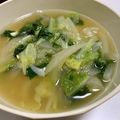 sayaendo＊'s cooksnap of when they made とろとろ玉ねぎと白菜が美味しい味噌汁.