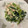 てらぼお's cooksnap of when they made 簡単！小松菜とシーチキンのマヨ和え.