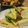 ☆ぺけぽん☆'s cooksnap of when they made ヴィーガンレシピ～高野豆腐の煮物～.