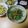 よちりん's cooksnap of when they made ニンジンの葉っぱ炒め.