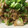 ててくっく's cooksnap of when they made 簡単★10分★極旨豚キムチ(お弁当にも).