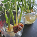 ハント☆'s cooksnap of when they made 旬！谷中生姜で2品.
