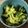 クックZ8J4H4☆'s cooksnap of when they made 話題入り！レンジ簡単激うまキャベツナムル.