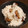 moco00moco's cooksnap of when they made 甘栗で簡単！栗ご飯.