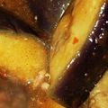 あおい22's cooksnap of when they made 業務スーパー冷凍揚げナスの中華炒め.