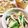 ゆいころままこ's cooksnap of when they made チンゲン菜と豚肉・エリンギの餡かけ炒め.