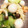 kurozata's cooksnap of when they made 青梗菜とシーフードミックスの中華風炒め.