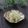 まろんかふぇ's cooksnap of when they made 生で美味しい！セロリのナムル.