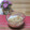 ももいろさくら's cooksnap of when they made おひとりさまの水切りヨーグルトデザート②.